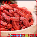 Lycium barbarum goji coltivazione beneficia a las bayas de goji semi di bacche di goji